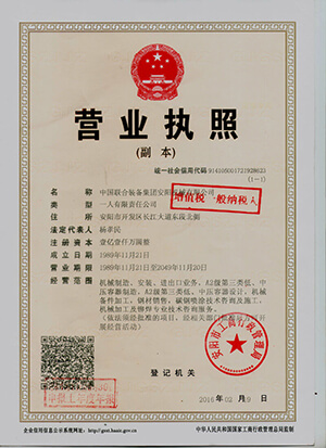 company business license full version