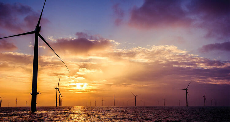 a picture of wind farm