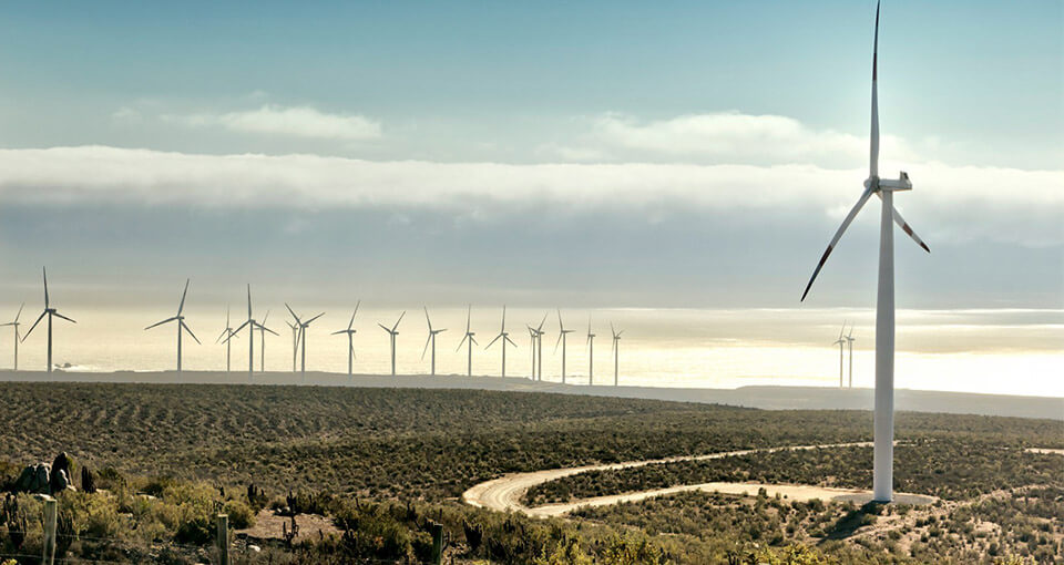 a picture of a wind farm in india